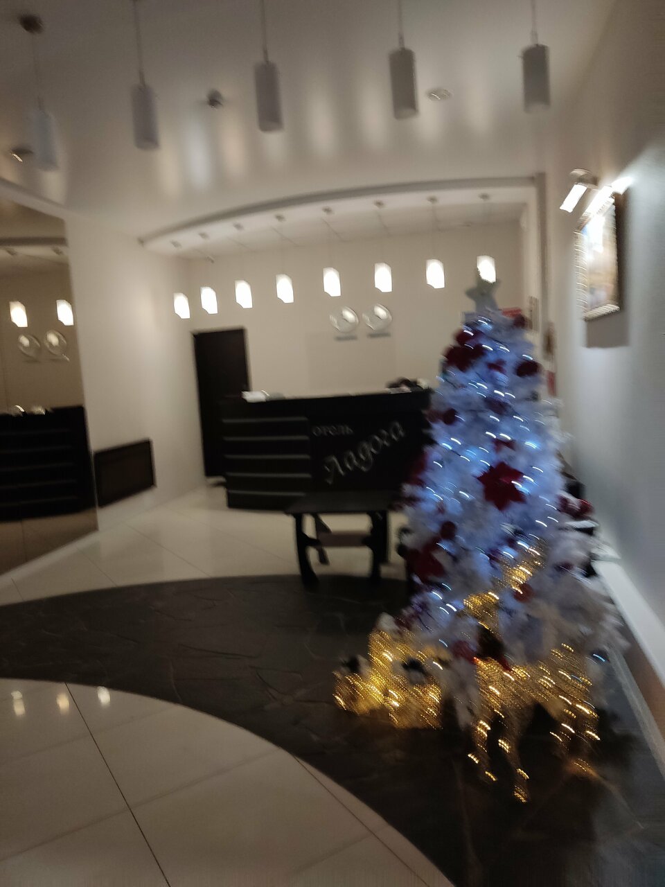 Гостиница Ладога Петрозаводск-159