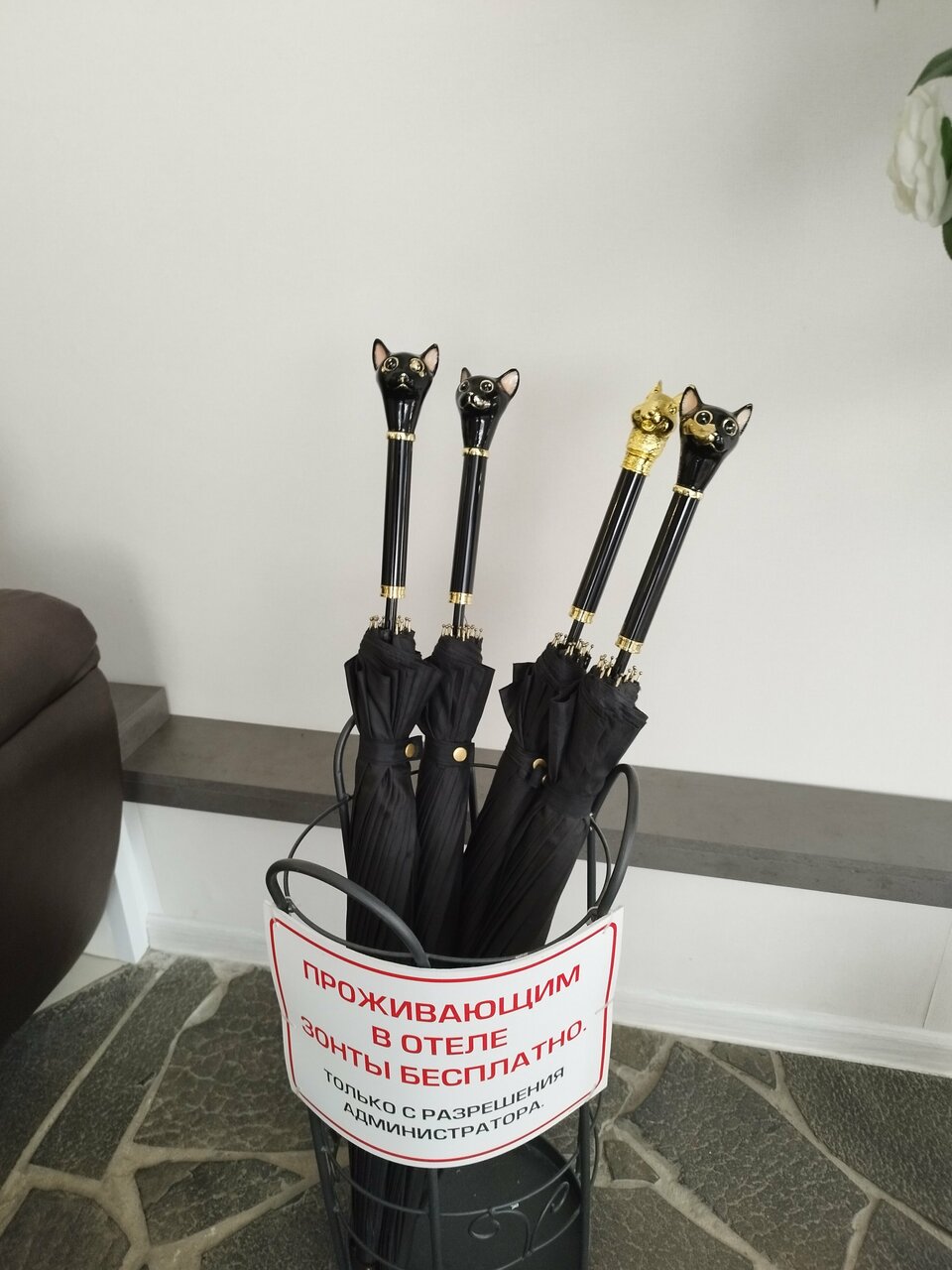 Гостиница Ладога Петрозаводск-126