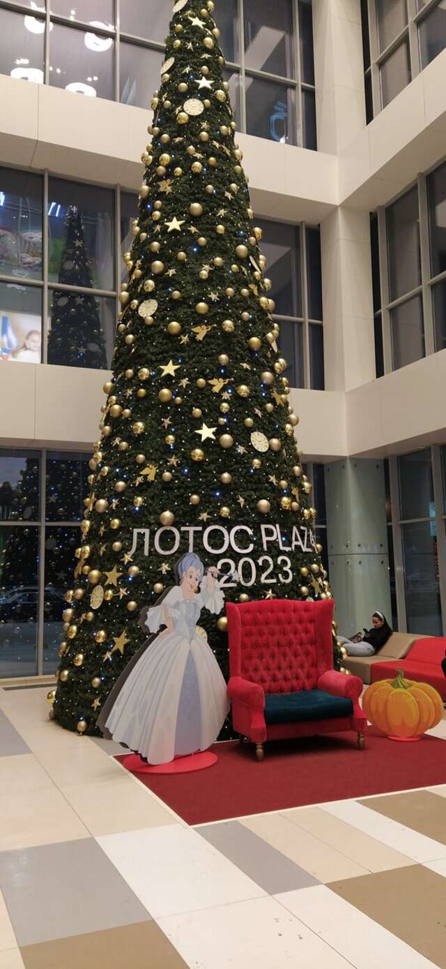 Гостиница Ладога Петрозаводск-120