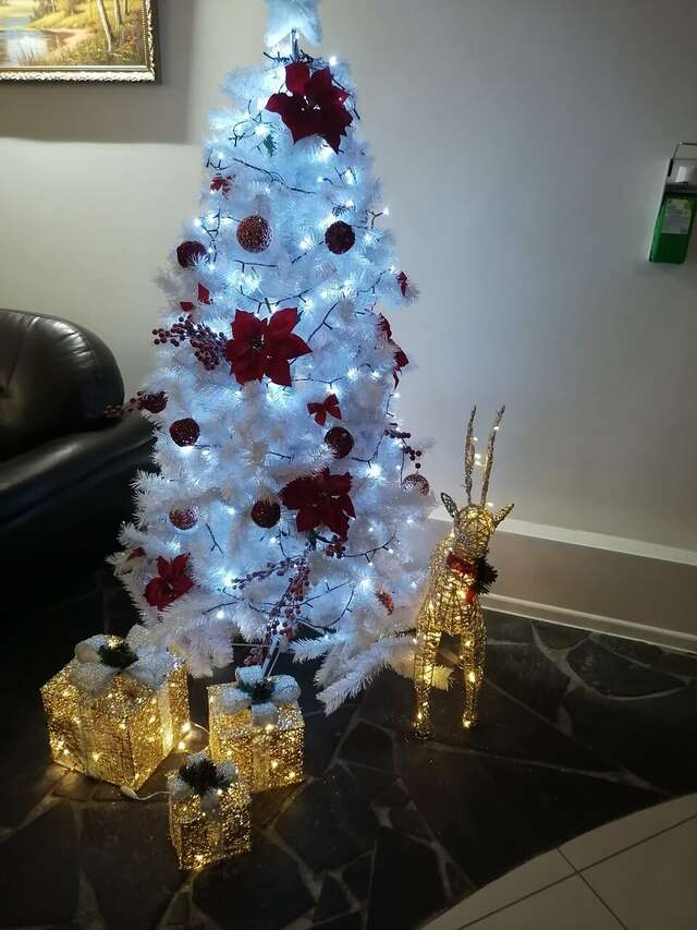 Гостиница Ладога Петрозаводск-142