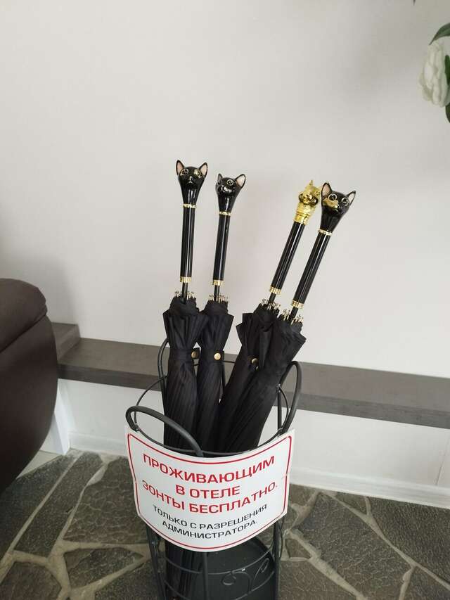 Гостиница Ладога Петрозаводск-125